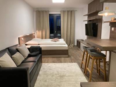 Apartmán Deluxe - izba s manželskou posteľou, pohovkou a LCD TV, Apartmány Abies****, Vysoké Tatry