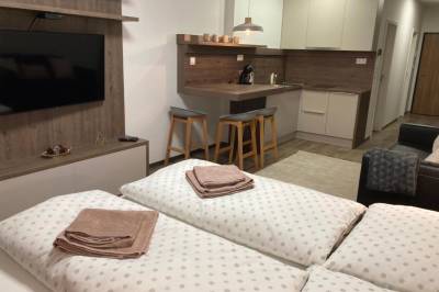 Apartmán Deluxe - izba s manželskou posteľou, pohovkou a LCD TV prepojená s kuchyňou, Apartmány Abies****, Vysoké Tatry