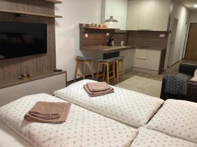 Apartmán Deluxe - izba s manželskou posteľou, pohovkou a LCD TV prepojená s kuchyňou, Apartmány Abies****, Vysoké Tatry