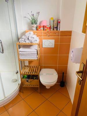 Kúpeľňa so sprchovacím kútom a toaletou, Drevenice Jánošík, Terchová