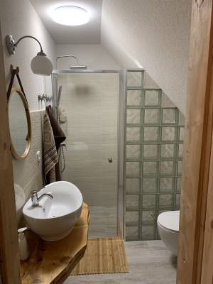 Kúpeľňa so sprchovacím kútom a toaletou, Ondrejova drevenica, Čičmany
