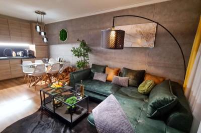 Obývačka s rozkladacím gaučom prepojená s kuchyňou a jedálenským sedením, Apartmanica St. Ivan Rilski SPA Resort 101-12, Bansko, Bansko