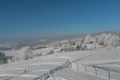 Oravská Lesná v zime, Zrubová chata Sylvester, Oravská Lesná