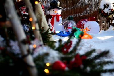 Chalúpka VEĎveďŠAKšak, Nižná Boca