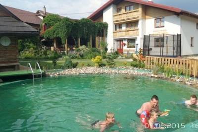 Exteriér ubytovania s vonkajším bazénom v Oščadnici, Rodinný penzión Alpinka, Oščadnica
