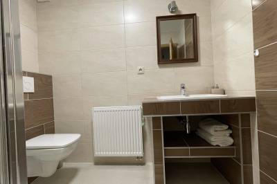 Izba Flowery - kúpeľňa so sprchovacím kútom a toaletou, Chata Dolina v Bachledke, Ždiar