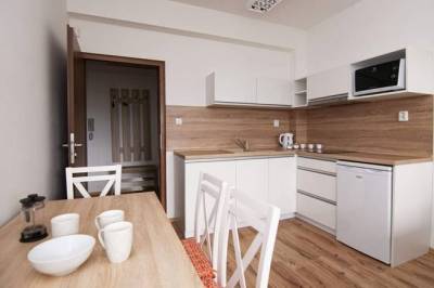 Apartmán Komfort - plne vybavená kuchyňa s jedálenským sedením, APARTMÁNY SILEAS, Veľká Lomnica