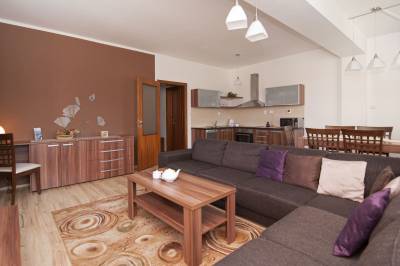 Apartmán Deluxe - obývačka prepojená s kuchyňou, APARTMÁNY SILEAS, Veľká Lomnica