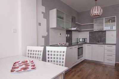 Apartmán Deluxe - plne vybavená kuchyňa s jedálenským sedením, APARTMÁNY SILEAS, Veľká Lomnica