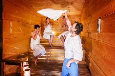 Priestor je aj pre saunové ceremoniáli. K dispozícií máte 4-5 rôznych esenciálnych vôní, Wellness Horská Vílenka, Mýto pod Ďumbierom