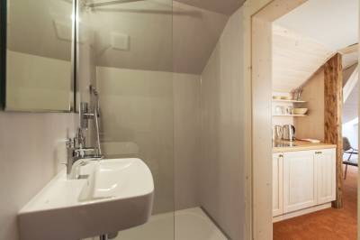 Multifunkčná miestnosť - kúpeľna s toaletou, sprchou a umývadlom, Wellness Horská Vílenka, Mýto pod Ďumbierom