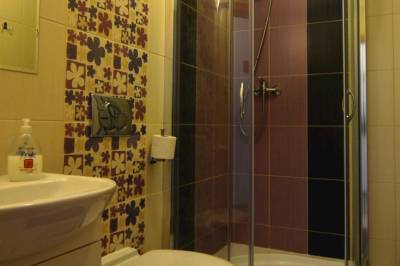 2-lôžková izba - kúpeľňa so sprchovacím kútom a toaletou, VILLA GOLD, Nová Lesná