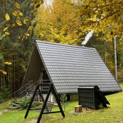 Chata v strede lesa so saunou a kaďou