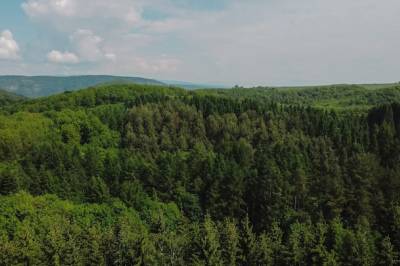 Okolie ubytovania, Hniezdo Pinky - chata v lese so saunou a kaďou na strednom Slovensku, Ostrá Lúka