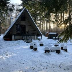 Chata v strede lesa so saunou a kaďou