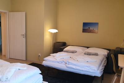 Spálňa 1 pre 4 osoby s manželskou posteľou a rozkladacou pohovkou, Vila Doliny, Konská