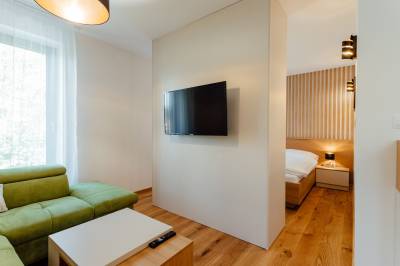 Apartmán Baranec a Ďumbier - obývačka s rozkladacím gaučom a LCD TV, BudinSKI Apartmány &amp; Wellness, Pavčina Lehota