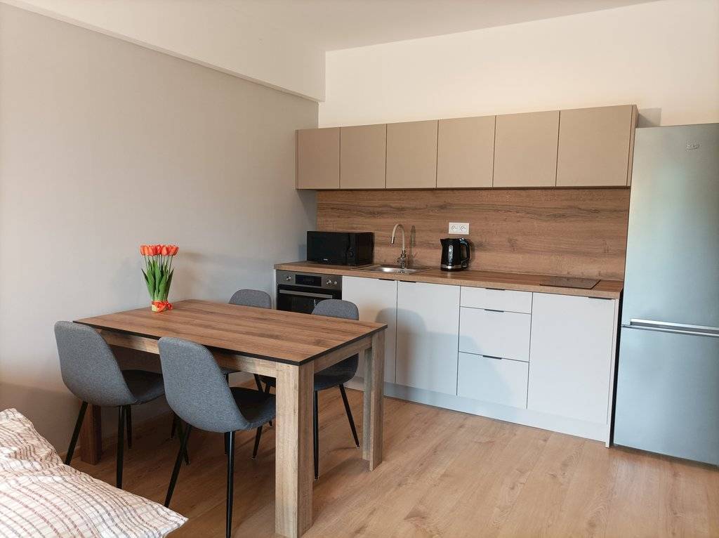 Kuchyňa, Apartmán Bešeň 206, Bešeňová
