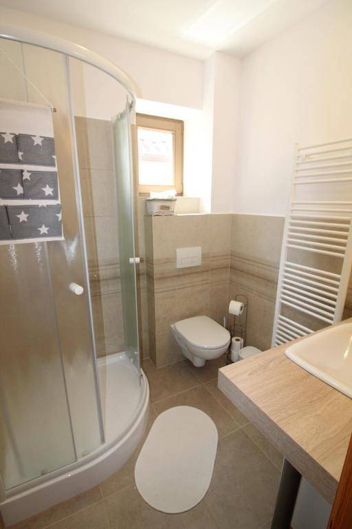 Kúpeľňa s toaletou, Guest House Mengsdorf, Mengusovce