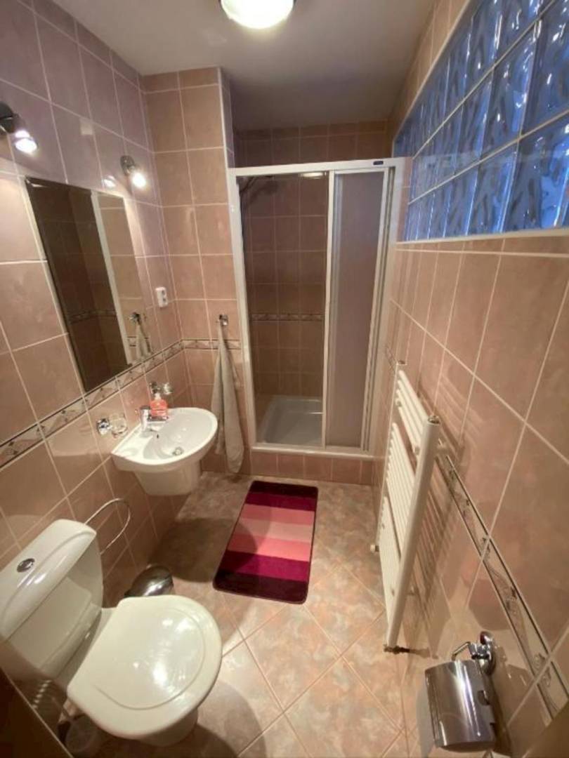 Kúpeľňa s toaletou, Dovolenkový Dom Lutra Montana Pieniny***, Reľov