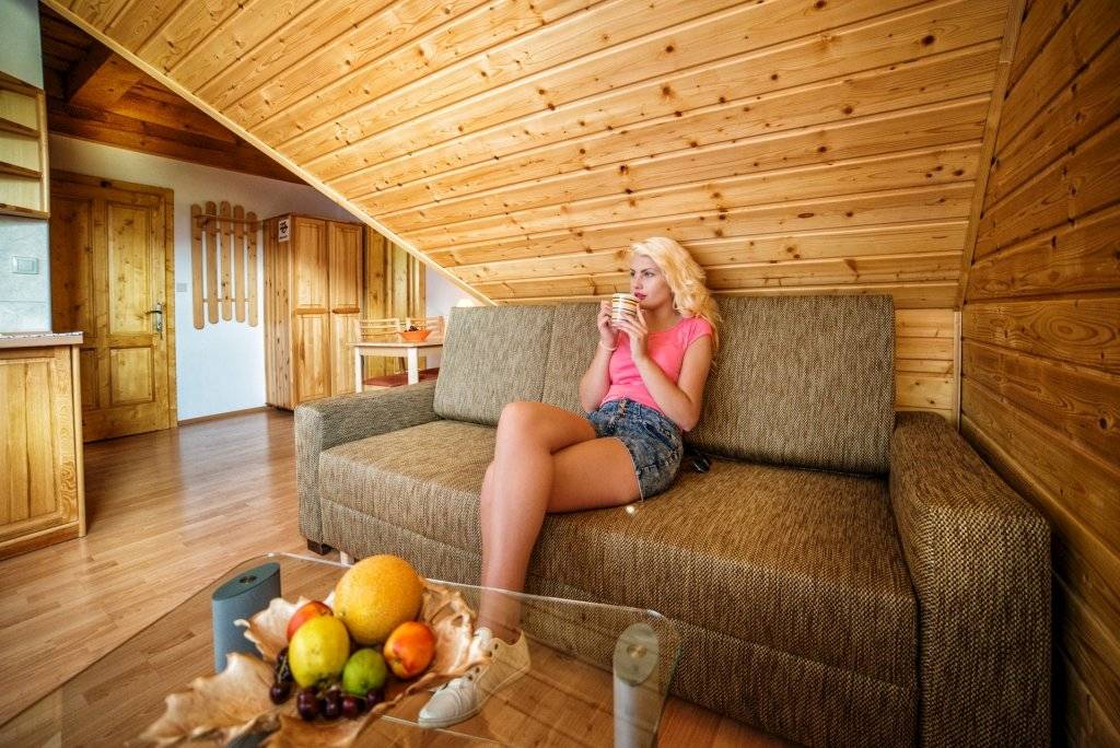 Obývačka, Drevenica pod Sitieňom 1, Lazisko