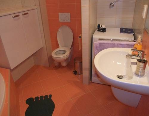 Kúpeľňa s toaletou, Apartmán Slnečnica, Bystrá