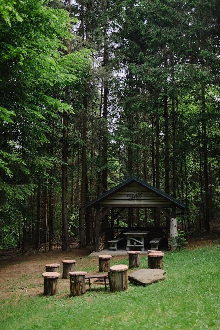 Terasa, Chata v strede lesa so saunou a kaďou, Ostrá Lúka