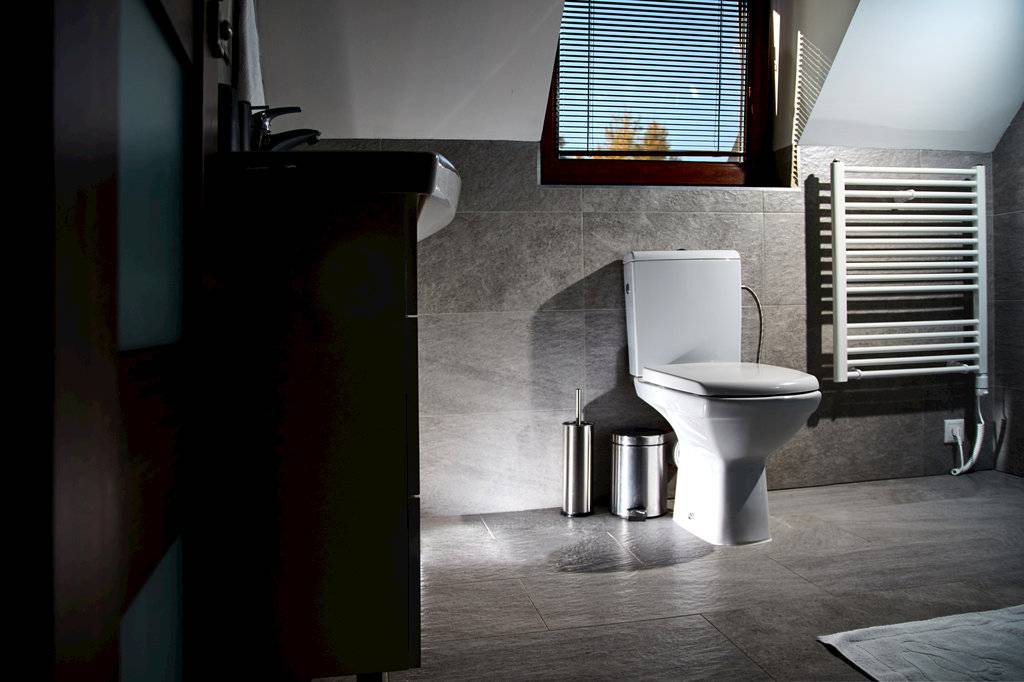 Samostatná toaleta, Holiday House SABALA 2, Stará Lesná