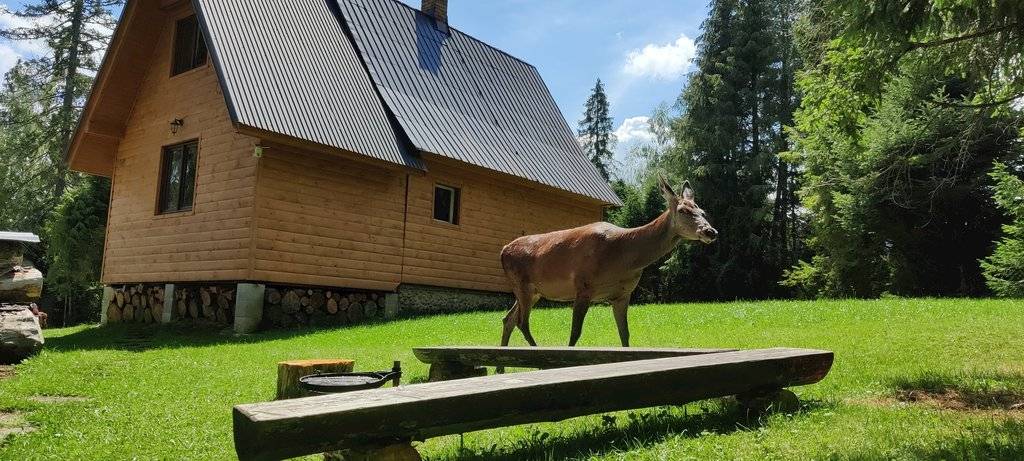 Terasa, Chata JJParadise, Oravice