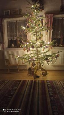 Vianočné sviatky pokoja, Chalupa Stará Izba, Novoť