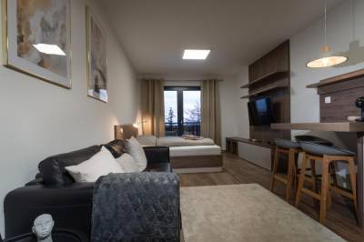 Apartmán Deluxe - izba s pohovkou a LCD TV, Apartmán Deluxe, Apartmány Abies****, Vysoké Tatry