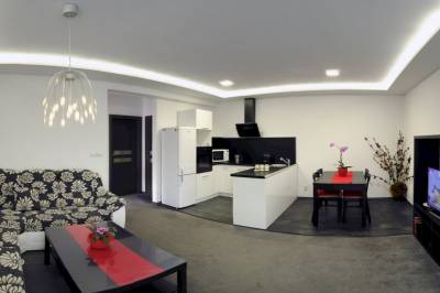Obývačka s kuchynským kútom, Luxusný apartmán č. 10, Vila Ajka, Bešeňová