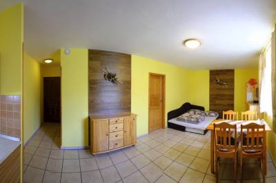 Obývačka s kuchynským kútom – Apartmán č. 4, Apartmán pre 4 osoby, Vila Horal, Liptovský Mikuláš