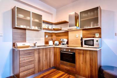 Plne vybavená kuchyňa, AC Cactus Cozy Apartment Tatry View, Veľká Lomnica