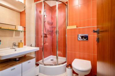 Kúpeľňa so sprchovým kútom a toaletou, AC Cactus Cozy Apartment Tatry View, Veľká Lomnica