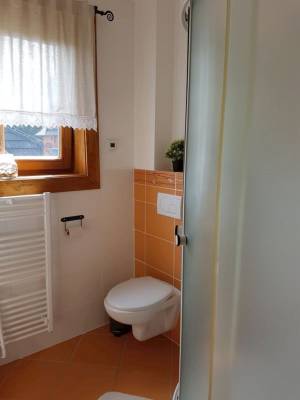 Kúpeľňa so sprchovacím kútom a toaletou, Drevenica Veverica, Terchová