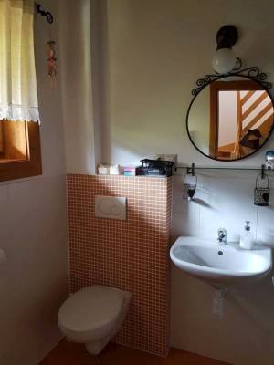 Kúpeľňa s toaletou a umývadlom, Drevenica Veverica, Terchová
