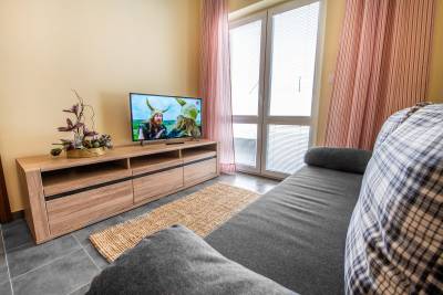 Obývačka s pohovkou a LCD TV, Apartmány Sojka resort, Malatíny